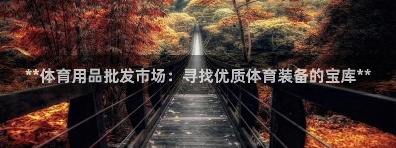 欧陆娱乐的故事有哪些：**体育用品批发市场：寻找优质