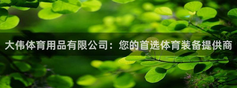 欧陆娱乐是正规平台吗安全吗知乎：大伟体育用品有限公司
