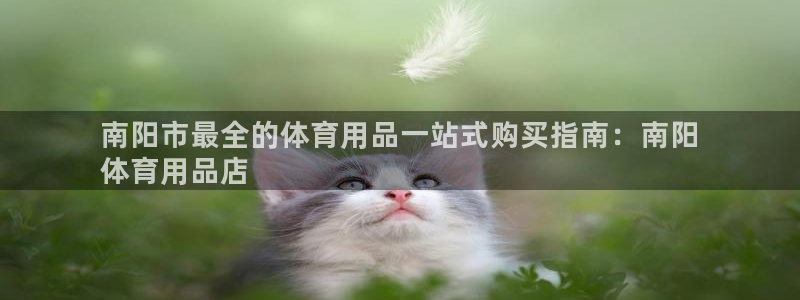 欧陆娱乐推广奖金多少：南阳市最全的体育用品一站式购买