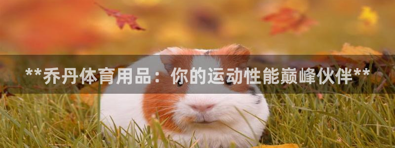 欧陆娱乐登陆平台：**乔丹体育用品：你的运动性能巅峰