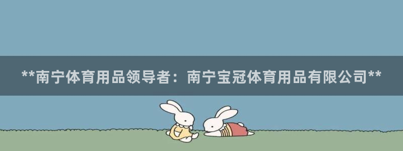 欧陆娱乐图片：**南宁体育用品领导者：南宁宝冠体育用