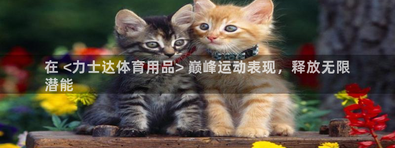 欧陆娱乐注册链接安全吗可靠吗：在 <力士达体育用品>