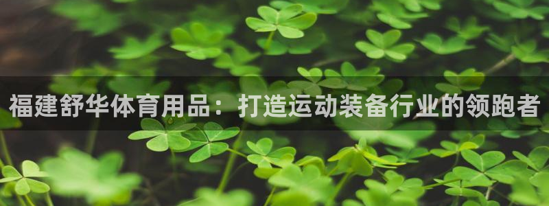 欧陆娱乐官网下载安装最新版本：福建舒华体育用品：打造