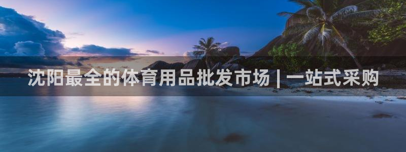 欧陆娱乐挂机项目怎么弄：沈阳最全的体育用品批发市场 