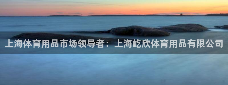 欧陆娱乐是正规平台吗安全吗：上海体育用品市场领导者：