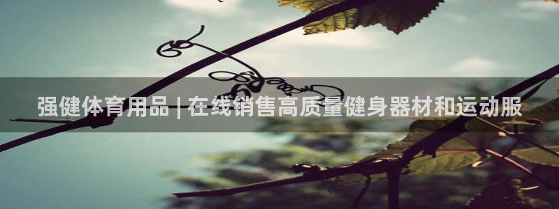 欧陆娱乐累计盈利多少就会被劝退呢：强健体育用品 | 