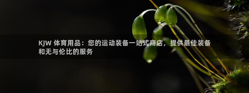 欧陆娱乐客服人工电话：KJW 体育用品：您的运动装备