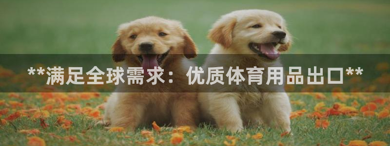 欧陆娱乐试玩官网：**满足全球需求：优质体育用品出口