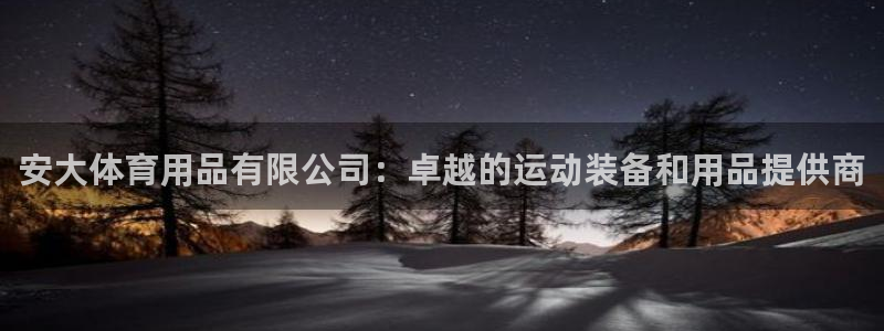 欧陆娱乐官方网站：安大体育用品有限公司：卓越的运动装