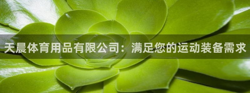 欧陆娱乐登录测速软件：天晨体育用品有限公司：满足您的