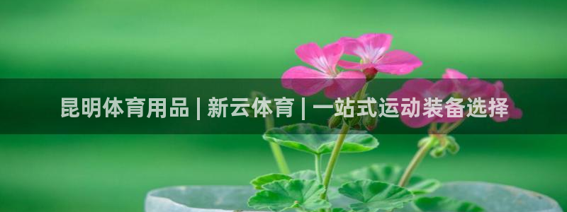 欧陆娱乐欧陆主管：昆明体育用品 | 新云体育 | 一