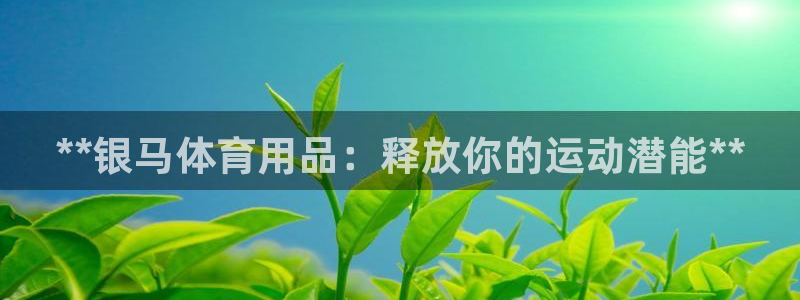 欧陆娱乐计划预测软件下载：**银马体育用品：释放你的