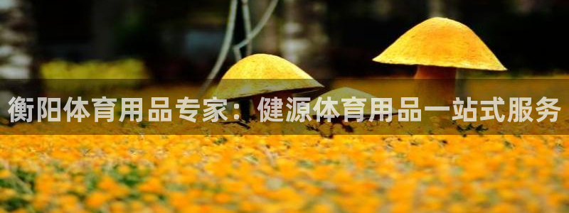 欧陆娱乐官网下载安装最新版：衡阳体育用品专家：健源体
