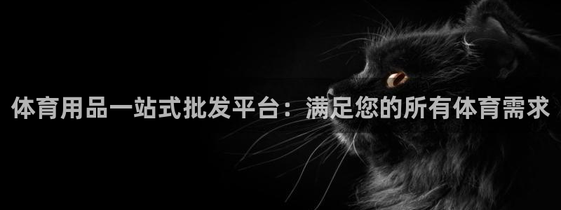 欧陆娱乐登录注册平台：体育用品一站式批发平台：满足您