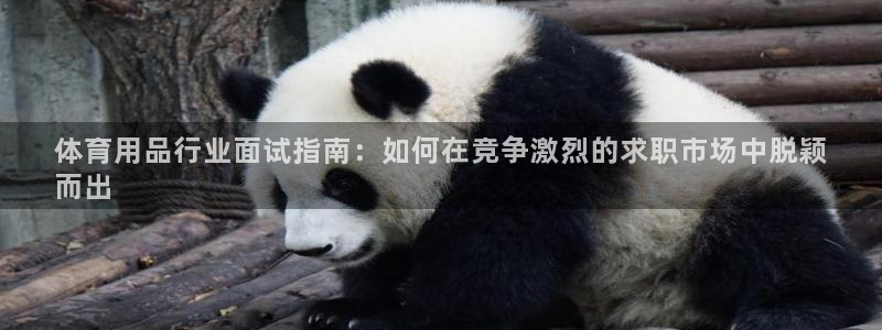 欧陆娱乐游戏特色：体育用品行业面试指南：如何在竞争激