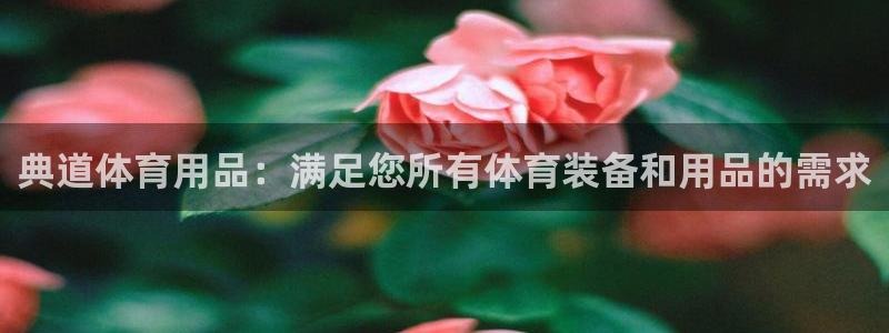 欧陆娱乐平台官网：典道体育用品：满足您所有体育装备和