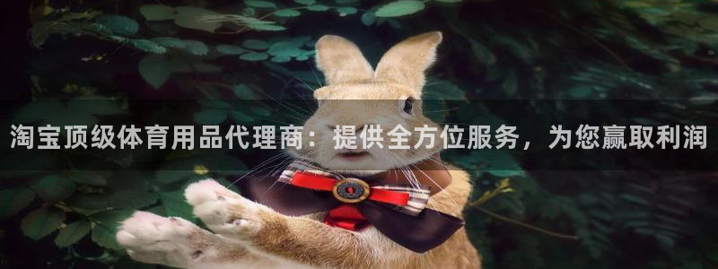 欧陆娱乐平台咋样啊赚钱：淘宝顶级体育用品代理商：提供