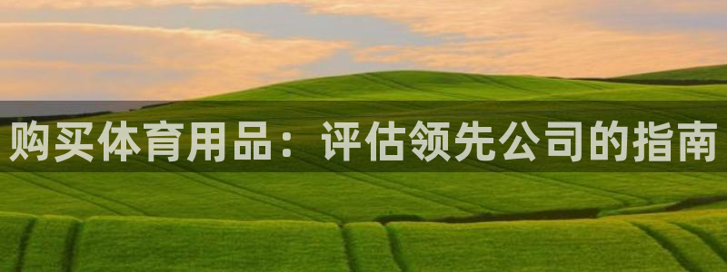 欧陆娱乐共创美好时刻：购买体育用品：评估领先公司的指