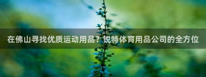 欧陆娱乐注册链接安全吗可靠吗：在佛山寻找优质运动用品