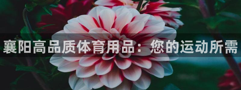 欧陆娱乐怎么注册账号登录：襄阳高品质体育用品：您的运