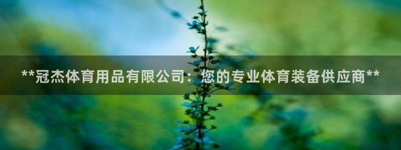 欧陆娱乐平台登陆地址在哪改：**冠杰体育用品有限公司