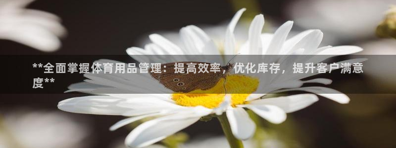 欧陆娱乐测速网站：**全面掌握体育用品管理：提高效率