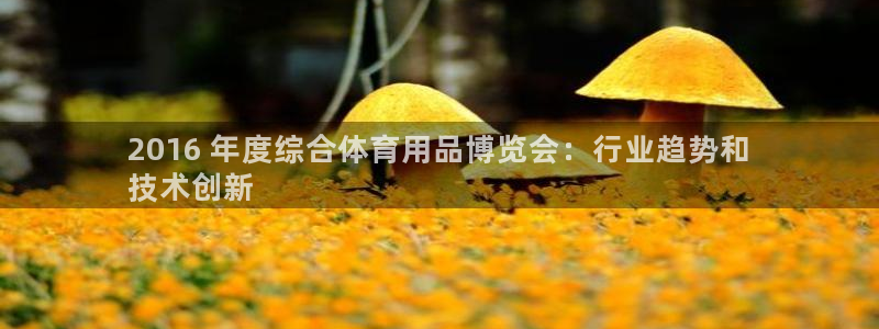 欧陆娱乐总代：2016 年度综合体育用品博览会：行业