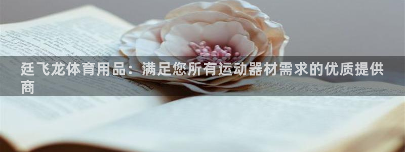 欧陆娱乐登录注册平台有哪些：廷飞龙体育用品：满足您所