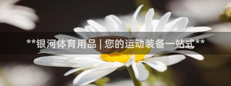 欧陆娱乐官网入口下载：**银河体育用品 | 您的运动