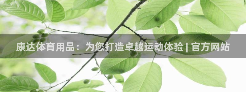 欧陆娱乐平台优势：康达体育用品：为您打造卓越运动体验