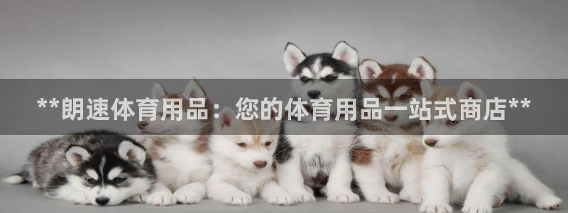 欧陆娱乐能赚钱吗现在：**朗速体育用品：您的体育用品