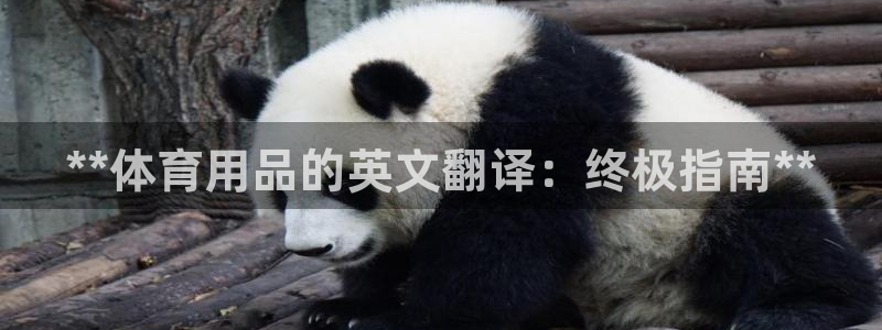 欧陆娱乐挂机项目：**体育用品的英文翻译：终极指南*