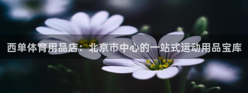 欧陆娱乐app打不开怎么回事儿：西单体育用品店：北京
