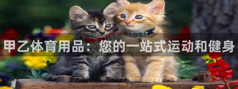 欧陆娱乐注册链接安全吗可靠吗：甲乙体育用品：您的一站式运动和