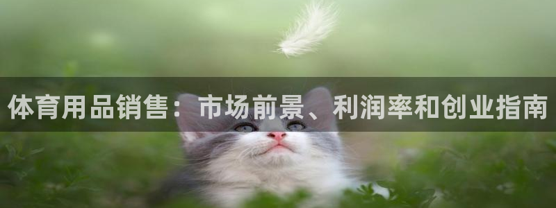 欧陆娱乐是资金盘吗：体育用品销售：市场前景、利润率和