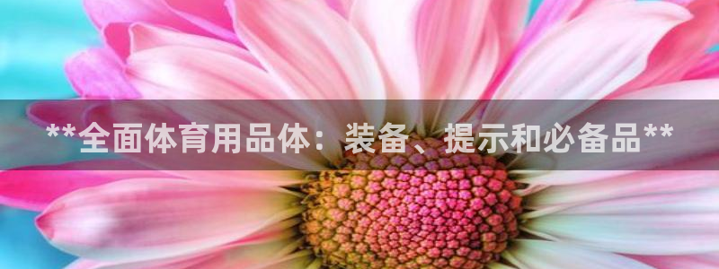欧陆娱乐：**全面体育用品体：装备、提示和必备品**