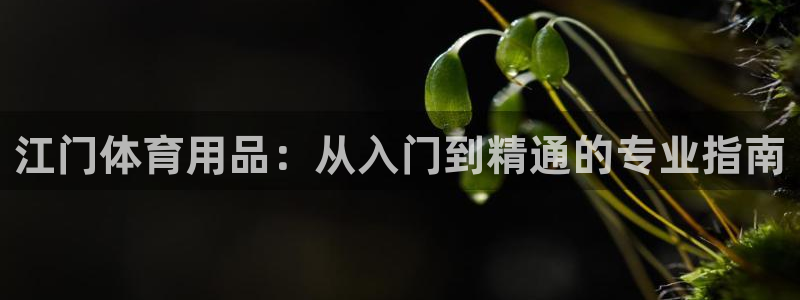 欧陆娱乐平台登录：江门体育用品：从入门到精通的专业指
