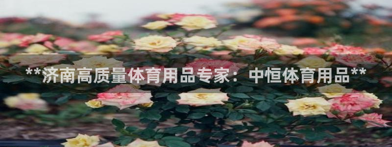 欧陆娱乐挂机怎么玩：**济南高质量体育用品专家：中恒