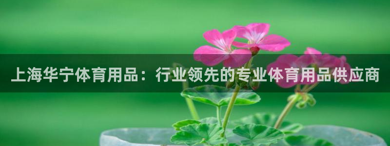 欧陆娱乐出款了吗：上海华宁体育用品：行业领先的专业体