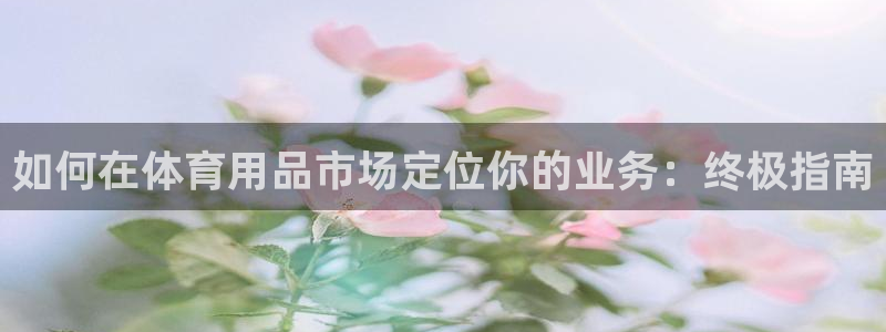 重庆欧陆娱乐有限公司：如何在体育用品市场定位你的业务：终极指