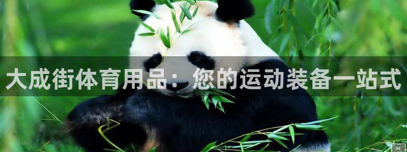 欧陆游戏平台：大成街体育用品：您的运动装备一站式
