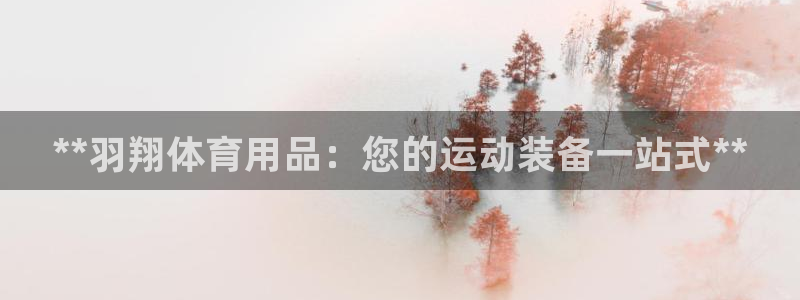 欧陆娱乐共创美好：**羽翔体育用品：您的运动装备一站