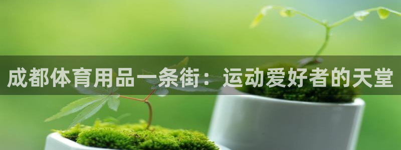 欧陆娱乐平台登录：成都体育用品一条街：运动爱好者的天