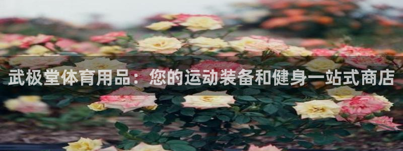 欧陆娱乐访问：武极堂体育用品：您的运动装备和健身一站