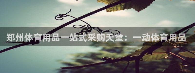 欧陆娱乐简介：郑州体育用品一站式采购天堂：一动体育用