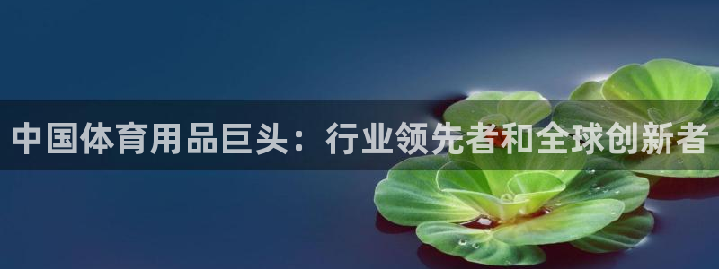 欧陆娱乐推广奖金多少：中国体育用品巨头：行业领先者和