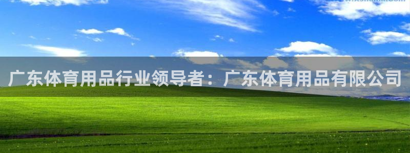 欧陆娱乐客服服务：广东体育用品行业领导者：广东体育用