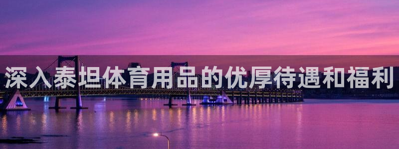 欧陆娱乐平台登录不上去了：深入泰坦体育用品的优厚待遇
