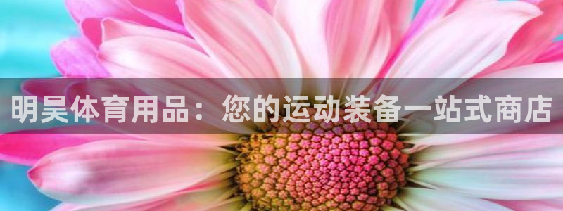 欧陆娱乐平台登录不上去怎么办：明昊体育用品：您的运动