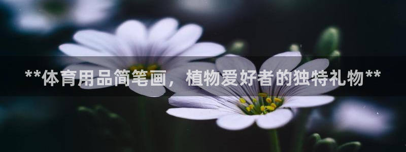 欧陆娱乐app攻略下载：**体育用品简笔画，植物爱好